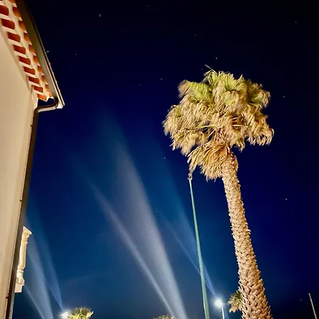 The Ocean / Ericeirahills Carvoeira