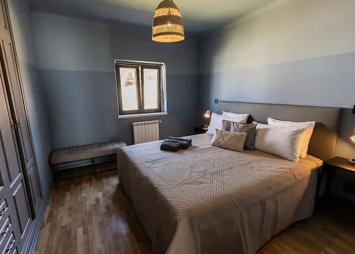 فيلة The Ocean / Ericeirahills *