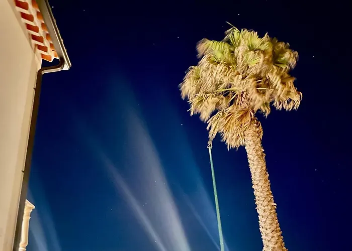 The Ocean / Ericeirahills Carvoeira